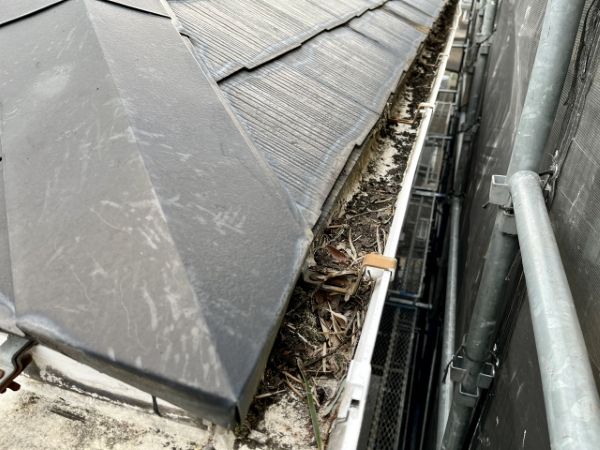 雨どいにこんな症状が出たら要注意！劣化の原因とは？