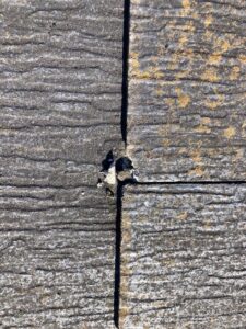 千葉県千葉市美浜区　屋根塗装・外壁塗装　足場設置　屋根のひび割れ (4)