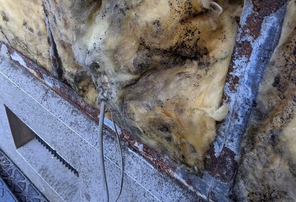 千葉県習志野市　雨漏り補修　サイディング張替え工事　施工前～外壁を剥がした状態 (1)