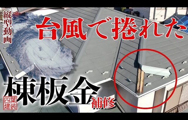 【縦動画】台風によって剥がれた下地剥き出し屋根。ぜひ点検を！
