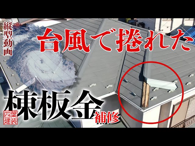 【縦動画】台風によって剥がれた下地剥き出し屋根。ぜひ点検を！