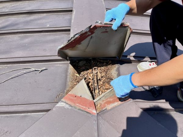 棟板金の釘浮きはなぜ起こる？原因や補修しなかった場合のトラブルについて紹介